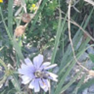 Meet your Posher, Raquel